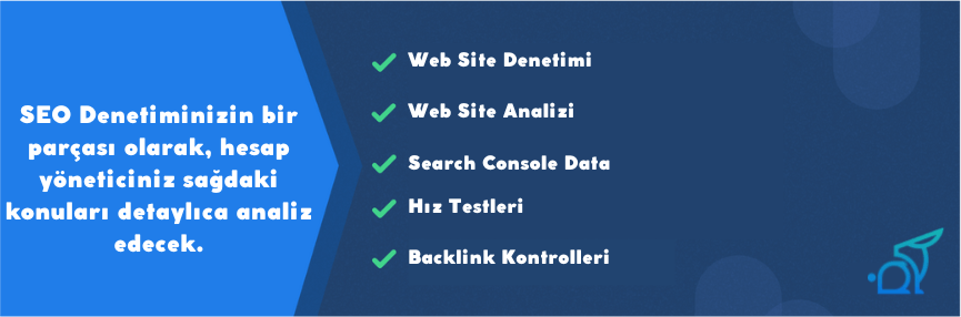 seo danışmanlığı