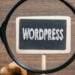 Wordpress SEO