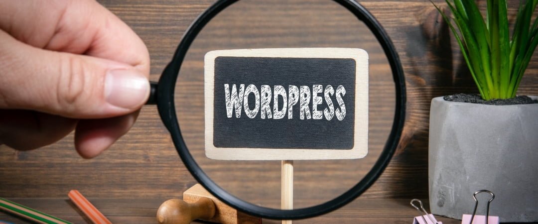 WordPress SEO Nedir Nasıl Yapılır?