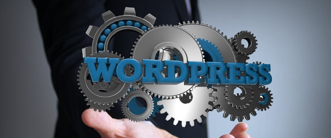 wordpress seo